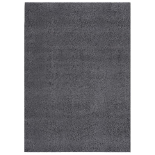 Washable Rug Soft Shaggy 120x170 cm Anti Slip Anthracite