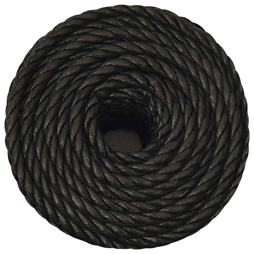 Work Rope Black 10 mm 25 m Polypropylene