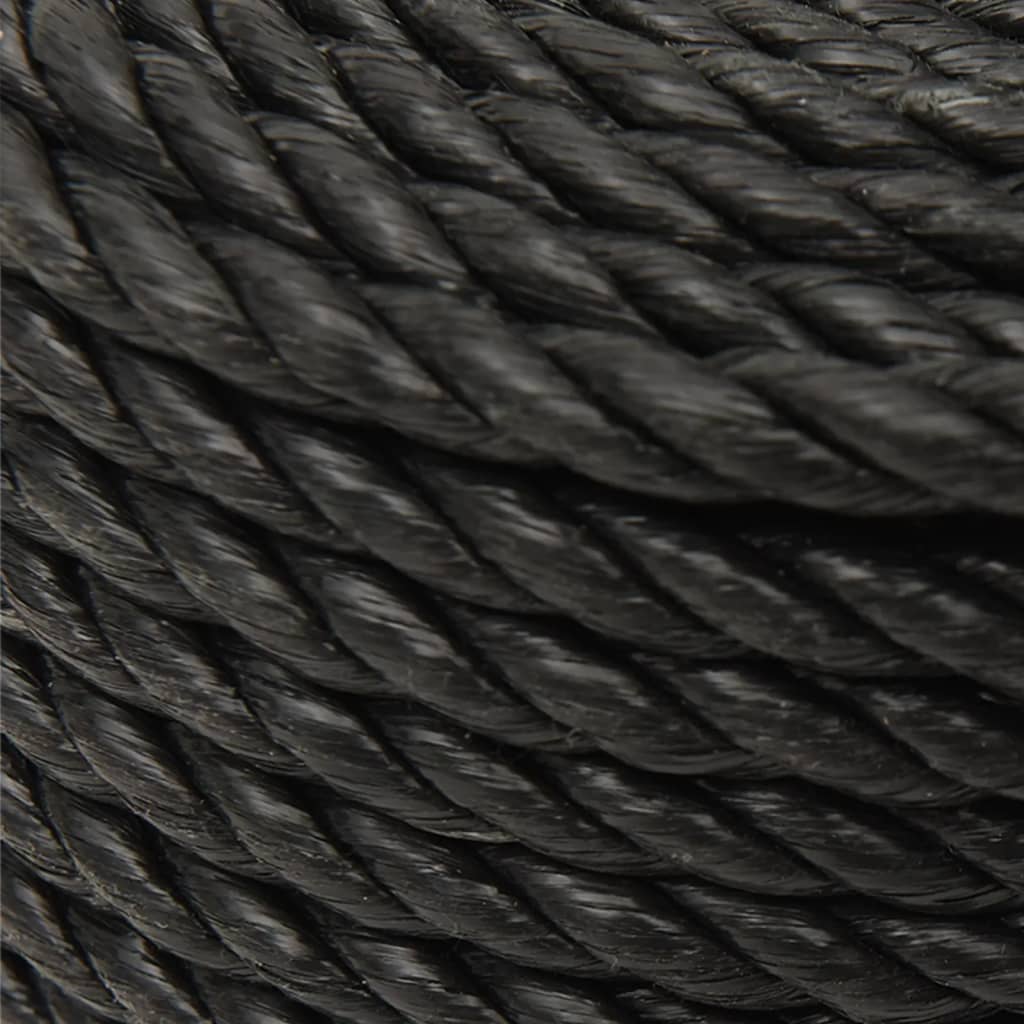 Work Rope Black 10 mm 50 m Polypropylene