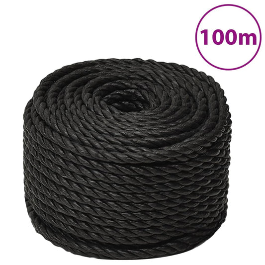 Work Rope Black 10 mm 100 m Polypropylene