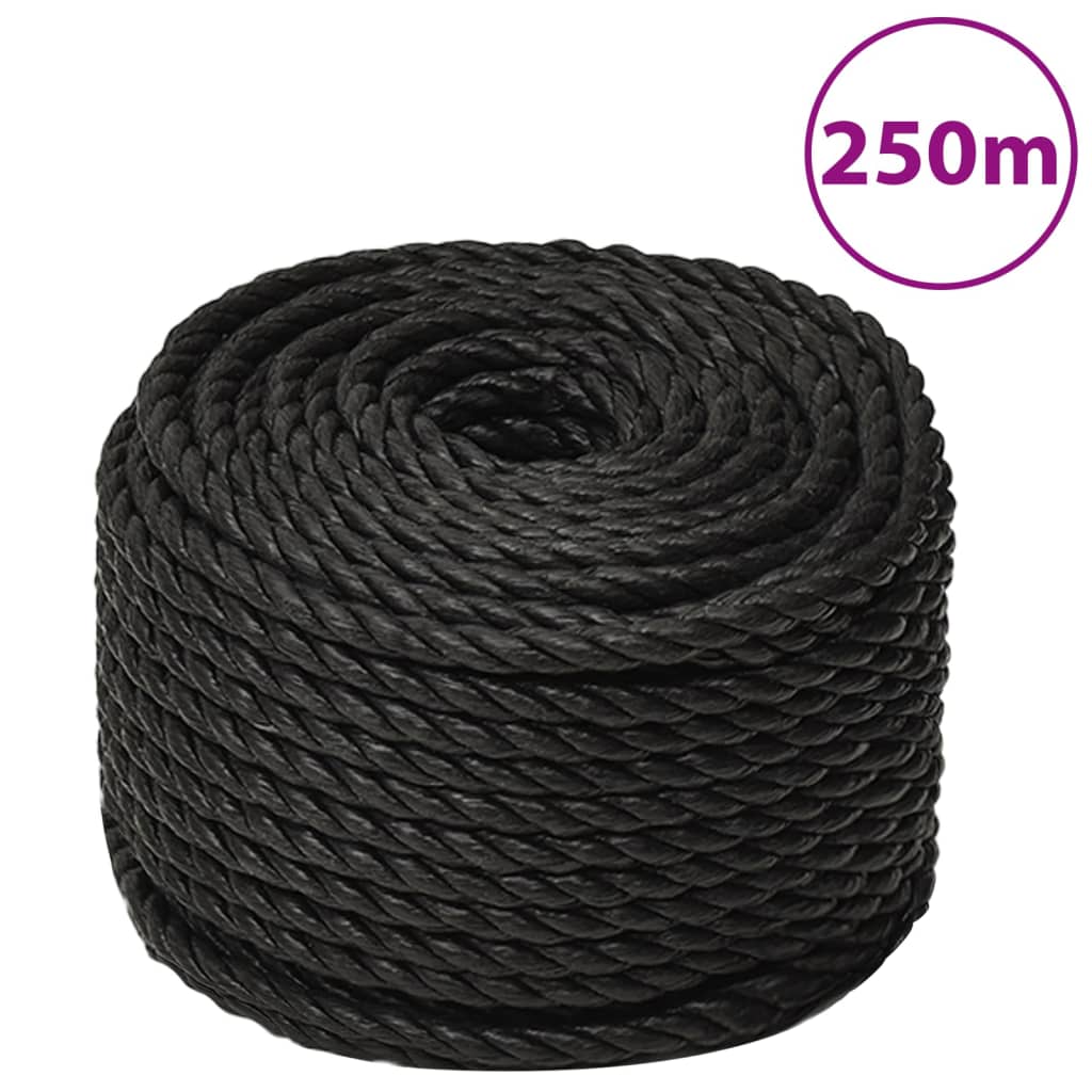 Work Rope Black 10 mm 250 m Polypropylene