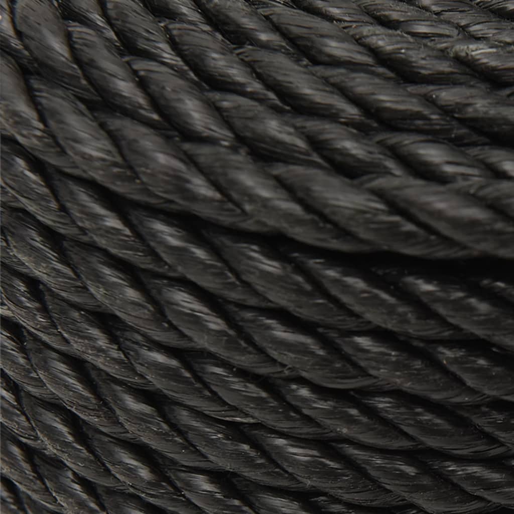 Work Rope Black 10 mm 250 m Polypropylene